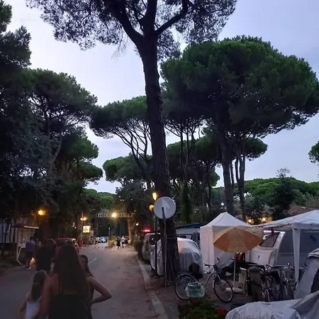 Mareblue Mobilhomes On Mare E Pineta *