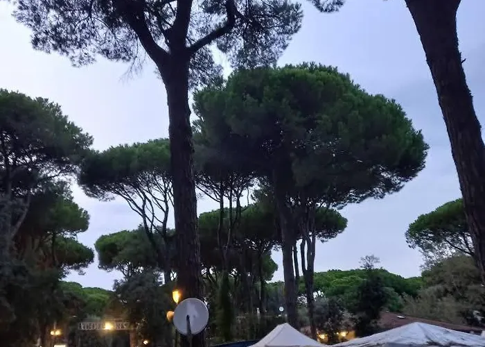 Mareblue Mobilhomes On Mare E Pineta Kemping *