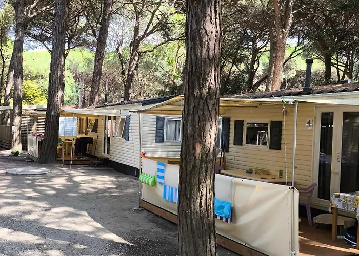 Mareblue Mobilhomes On Mare E Pineta Kemping *