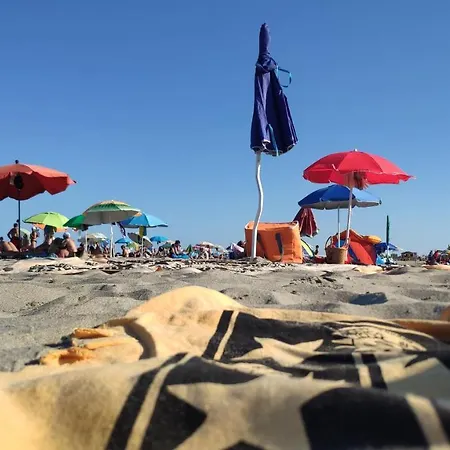 Campsite Mareblue Mobilhomes On Mare E Pineta