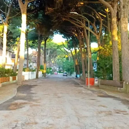 Mareblue Mobilhomes On Mare E Pineta Camping