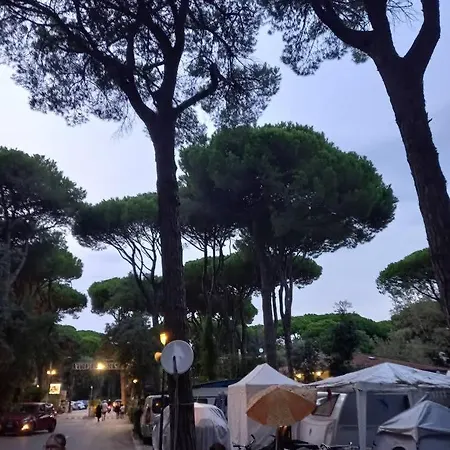 Mareblue Mobilhomes On Mare E Pineta Campingplads *