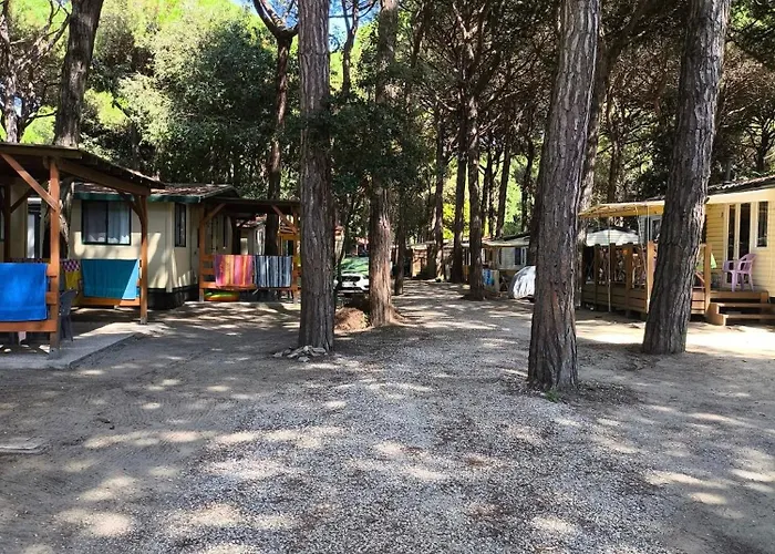 Campsite Mareblue Mobilhomes On Mare E Pineta